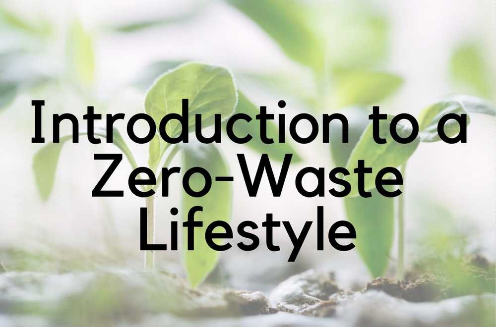 Introduction to a Zero Waste Lifestyle