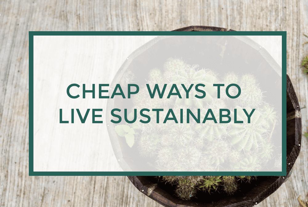 Inexpensive Ways to Live a more Sustainable Lifestyle