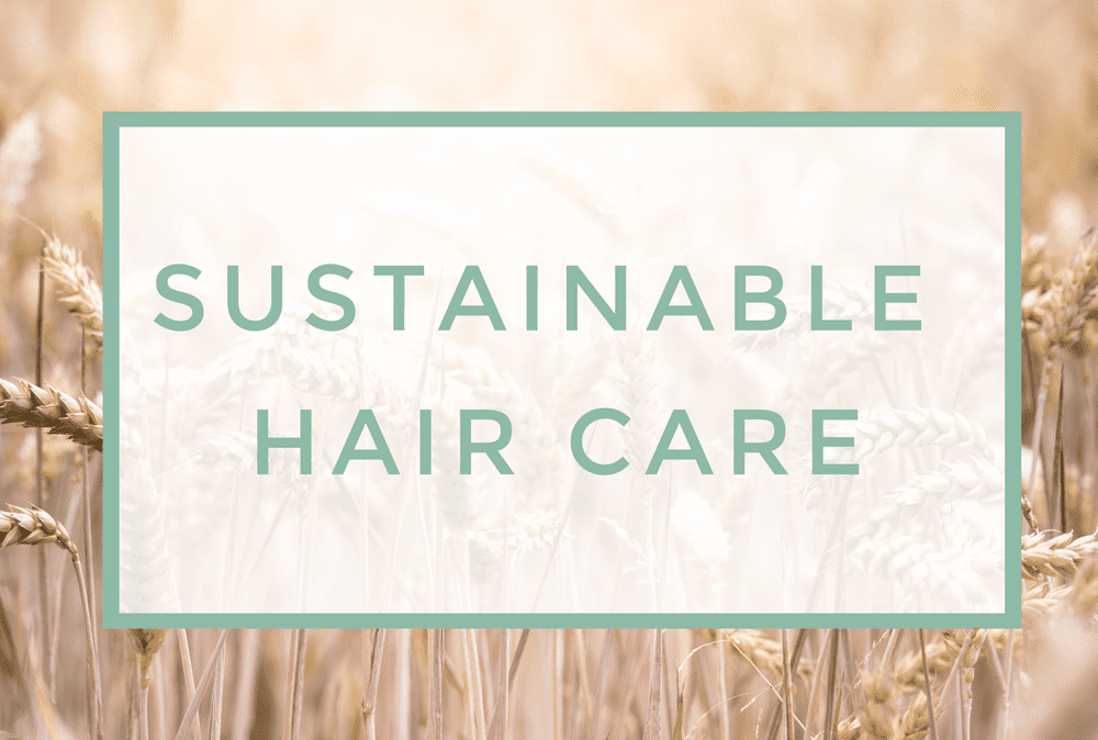 Ultimate Guide to Sustainable Hair Care  For all Budgets