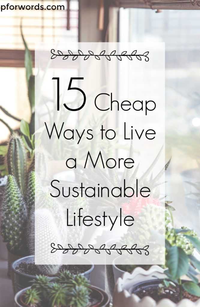 You don't need to spend an arm and a leg to live a sustainable lifestyle. Here are 15 tips to do so that are free or very cheap!