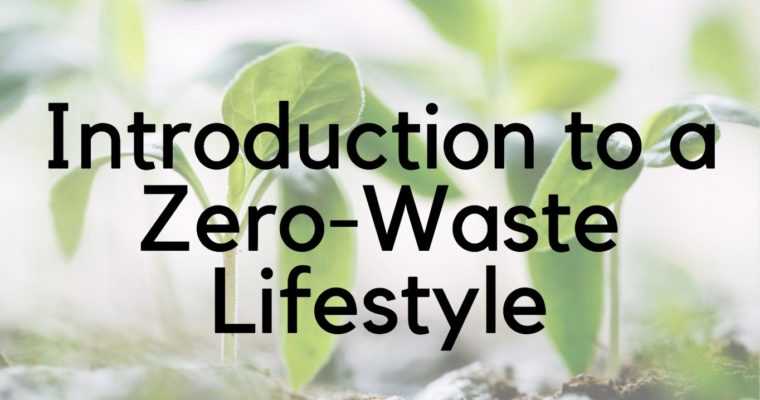Introduction to a Zero-Waste Lifestyle