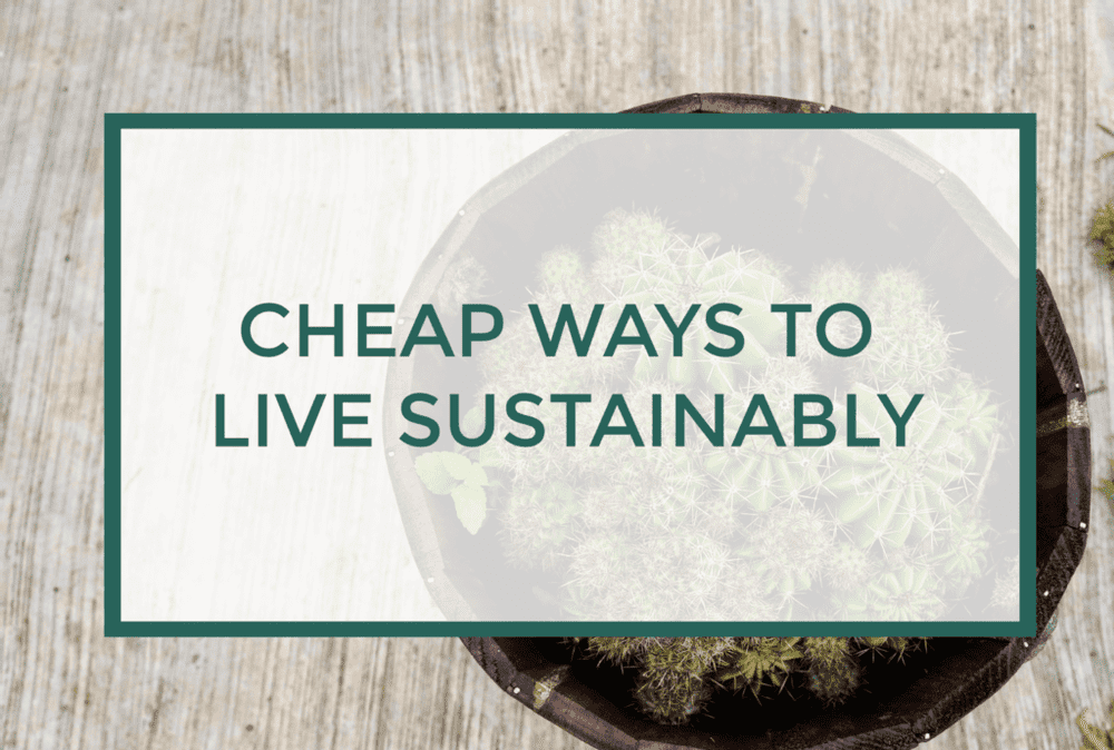 You don't need to spend an arm and a leg to live a sustainable lifestyle. Here are 15 tips to do so that are free or very cheap!